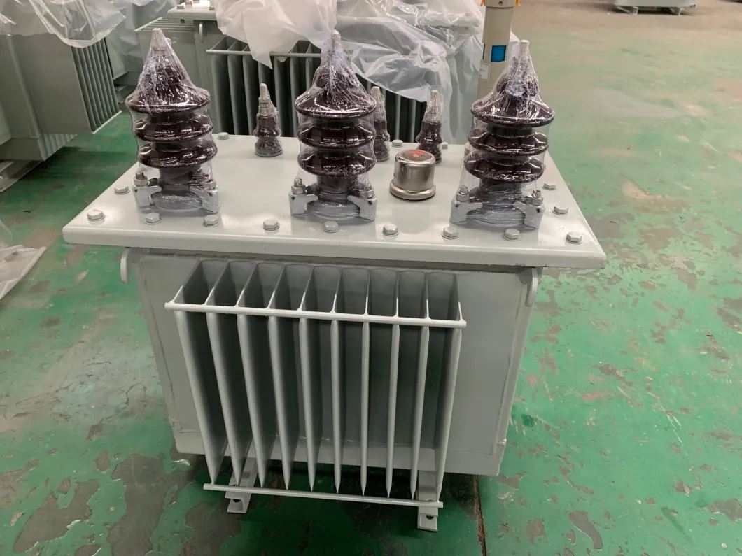 Oil Immersed Distribution Power Transformer