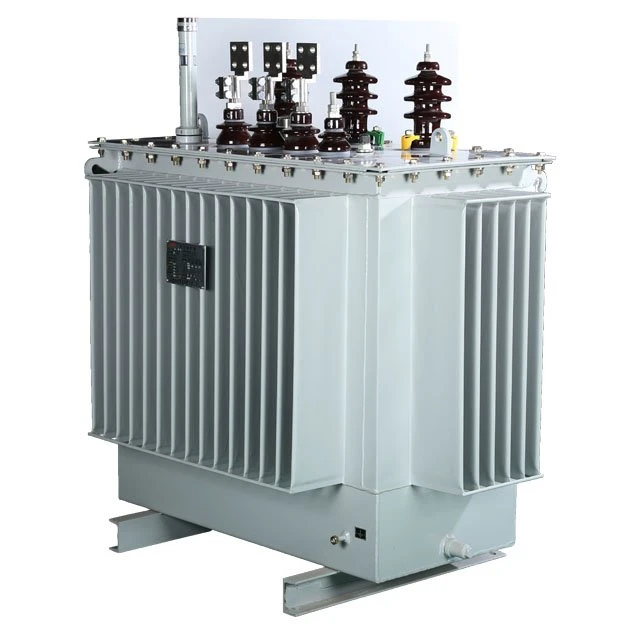 oil immersed transformer (2)